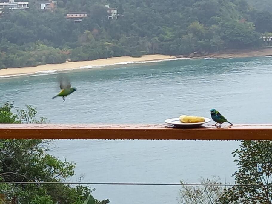 Casa de férias Belissima Vista E A Do Litoral Norte Ubatuba