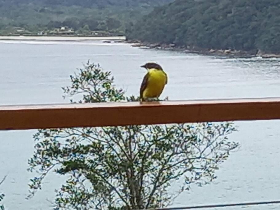 Belissima Vista E A Do Litoral Norte Casa de férias
